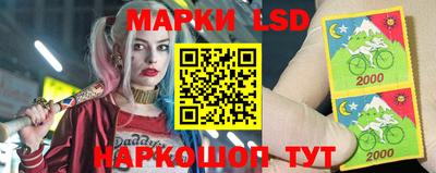 наркотики Кингисепп