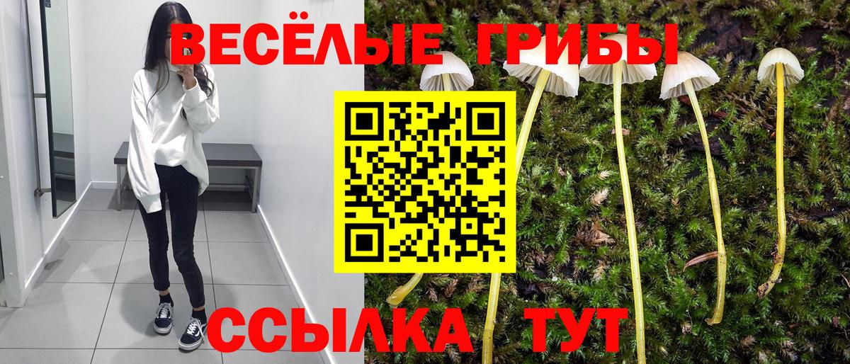 Ялуторовск  Галлюциногенные грибы Magic Shrooms  Вход с VPN 