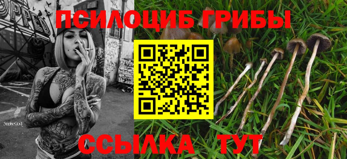 Псилоцибиновые грибы прущие грибы Ялуторовск